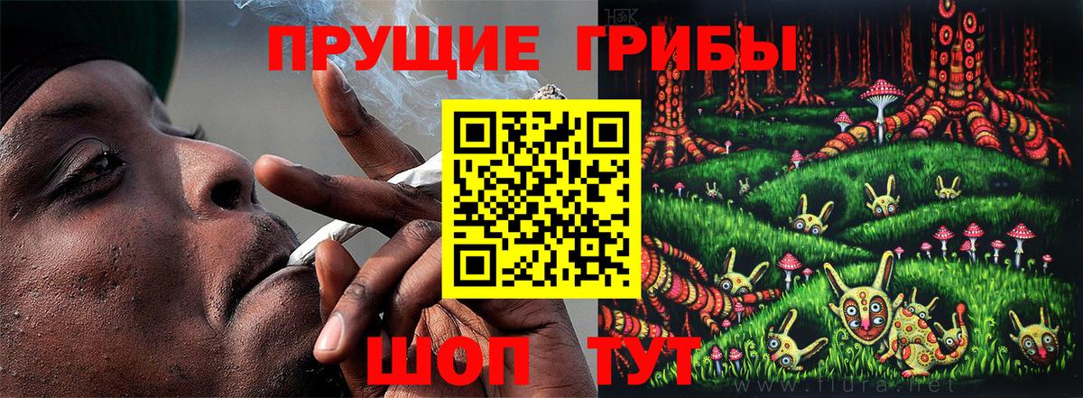 Галлюциногенные грибы Psilocybine cubensis  Галлюциногенные грибы ЛСД  Бердск  Вход с VPN 