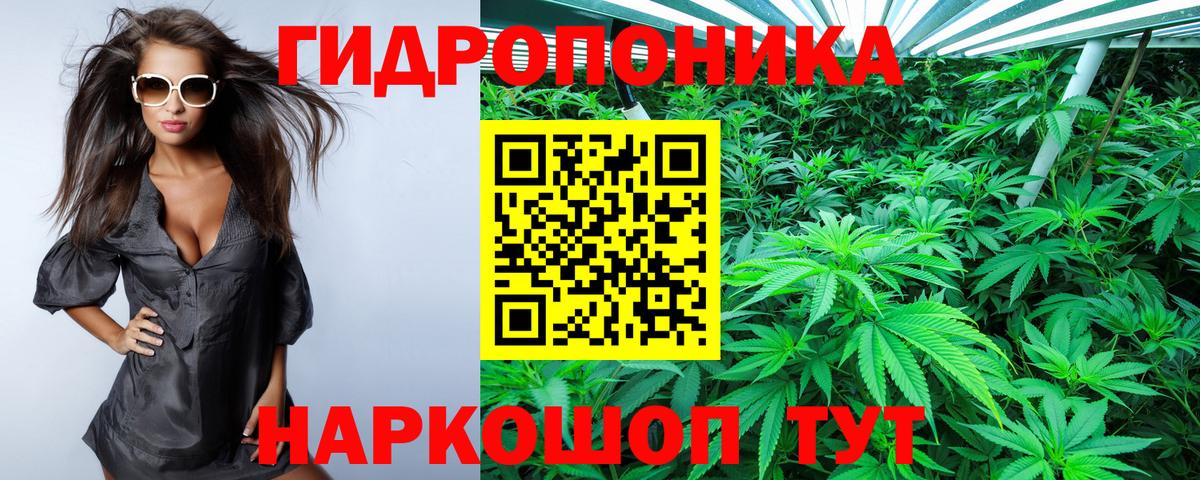 Бошки Шишки индика  Шишки марихуана марихуана  Бошки Шишки MAZAR  Конопля AK-47  Вход с VPN  Бердск 